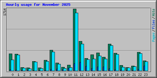 Hourly usage for November 2025