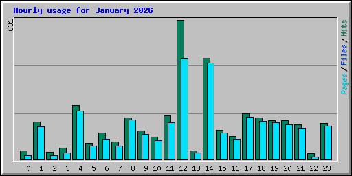 Hourly usage for January 2026