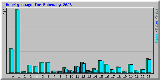 Hourly usage for February 2026